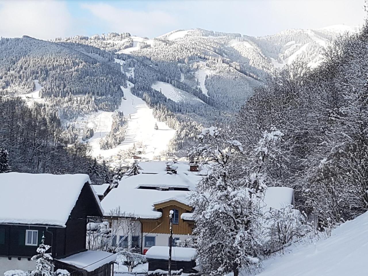 Haus Gandler Apartment Zell am See Bagian luar foto